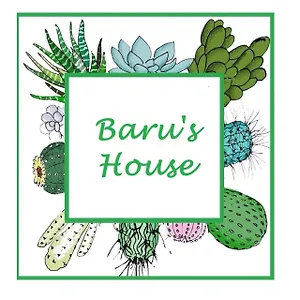Baru's House Pensión Palermo